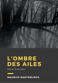 eBook: L'ombre des ailes