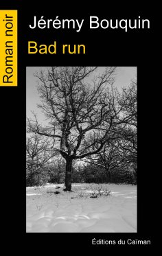 eBook: Bad run