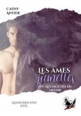 ebook: Les âmes jumelles - Tome 4