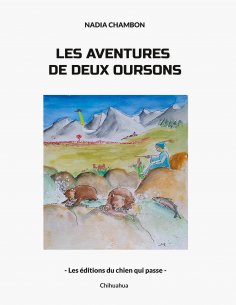 eBook: Les aventures de deux oursons