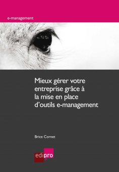 ebook: Mieux gérer votre entreprise grâce à la mise en place d'outils e-management