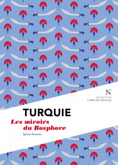 eBook: Turquie : Les miroirs du Bosphore