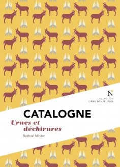 ebook: Catalogne : Urnes et déchirures