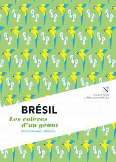 eBook: Brésil