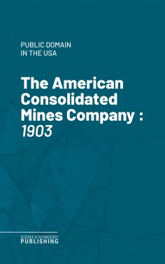 ebook: The American Consolidated Mines Company