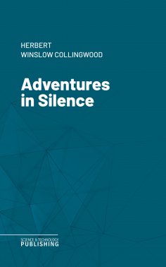 eBook: Adventures in Silence