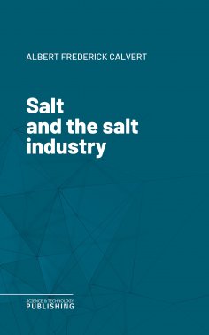 eBook: Salt and the salt industry