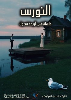 eBook: The seagull