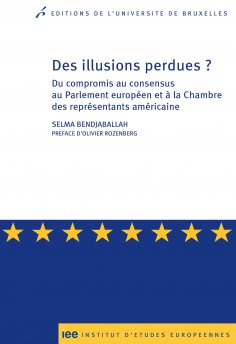 ebook: Des illusions perdues ?