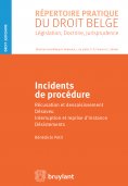 eBook: Incidents de procédure