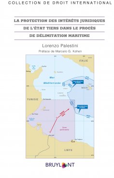 eBook: La protection des intérêts juridiques de l'État tiers dans le procès de délimitation maritime