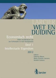 eBook: Wet en Duiding Intellectuele eigendom