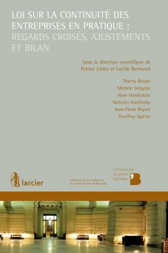 eBook: Loi sur la continuité des entreprises en pratique : regards croisés, ajustements et bilan