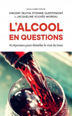 ebook: L'alcool en questions