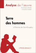 ebook: Terre des hommes d'Antoine de Saint-Exupéry (Analyse de l'oeuvre)
