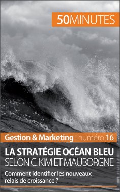 eBook: La stratégie Océan bleu selon C. Kim et Mauborgne