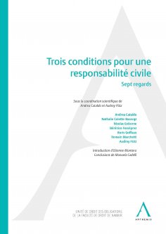 eBook: Trois conditions pour une responsabilité civile