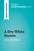 eBook: A Dry White Season by André Brink (Book Analysis)