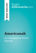 eBook: Americanah by Chimamanda Ngozi Adichie (Book Analysis)