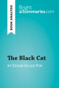 eBook: The Black Cat by Edgar Allan Poe (Book Analysis)