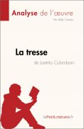 ebook: La tresse de Laetitia Colombani (Analyse de l'œuvre)