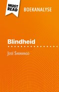 ebook: Blindheid