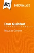 eBook: Don Quichot van Miguel de Cervantès (Boekanalyse)