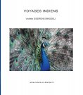 eBook: Voyages indiens