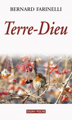 eBook: Terre-Dieu