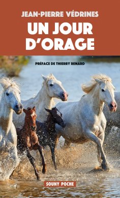 ebook: Un Jour d'orage