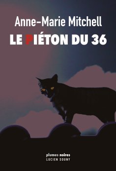 ebook: Le Piéton du 36
