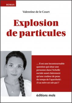 ebook: Explosion de particules