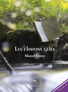 eBook: Les chatons gelés
