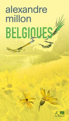 eBook: Belgiques