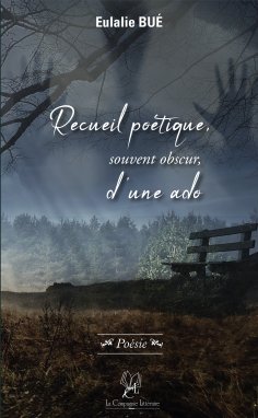 eBook: Recueil poétique, souvent obscur, d'une ado