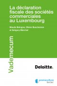 eBook: La déclaration fiscale des sociétés commerciales au Luxembourg