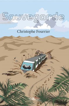 ebook: Sauvegarde