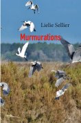 ebook: Murmurations