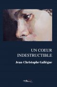 eBook: Un coeur indestructible