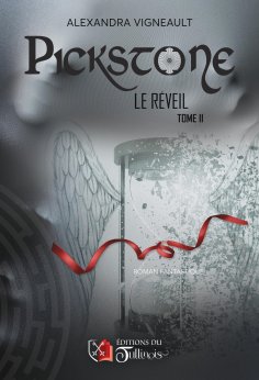 ebook: Pickstone - Tome 2