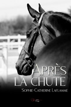 ebook: Après la chute