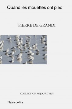 ebook: Quand les mouettes ont pied