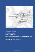 ebook: L'offensive des colorants allemands en France 1881-1914