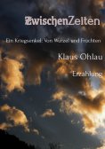 ebook: ZwischenZeiten