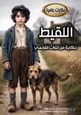 eBook: The foundling