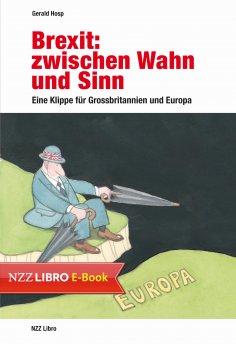 eBook: Brexit: zwischen Wahn und Sinn