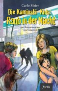 eBook: Die Kaminski-Kids: Raub in der Nacht