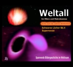 ebook: Schwarze Löcher und Galaxien