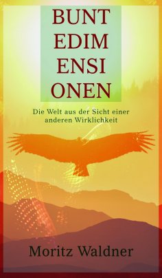 ebook: Bunte Dimensionen