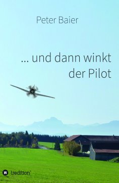 eBook: ... und dann winkt der Pilot